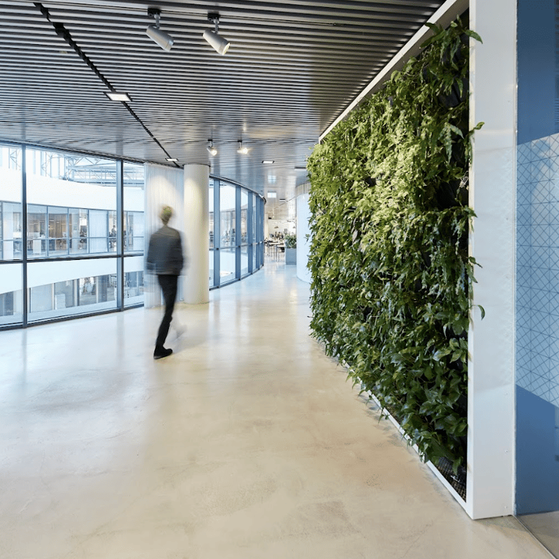 a person walking in a building with a plant wall