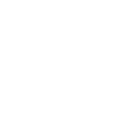 a white and grey arrow